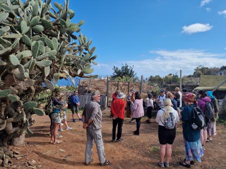 Ana, Tine tenerifi, april 24 (3)